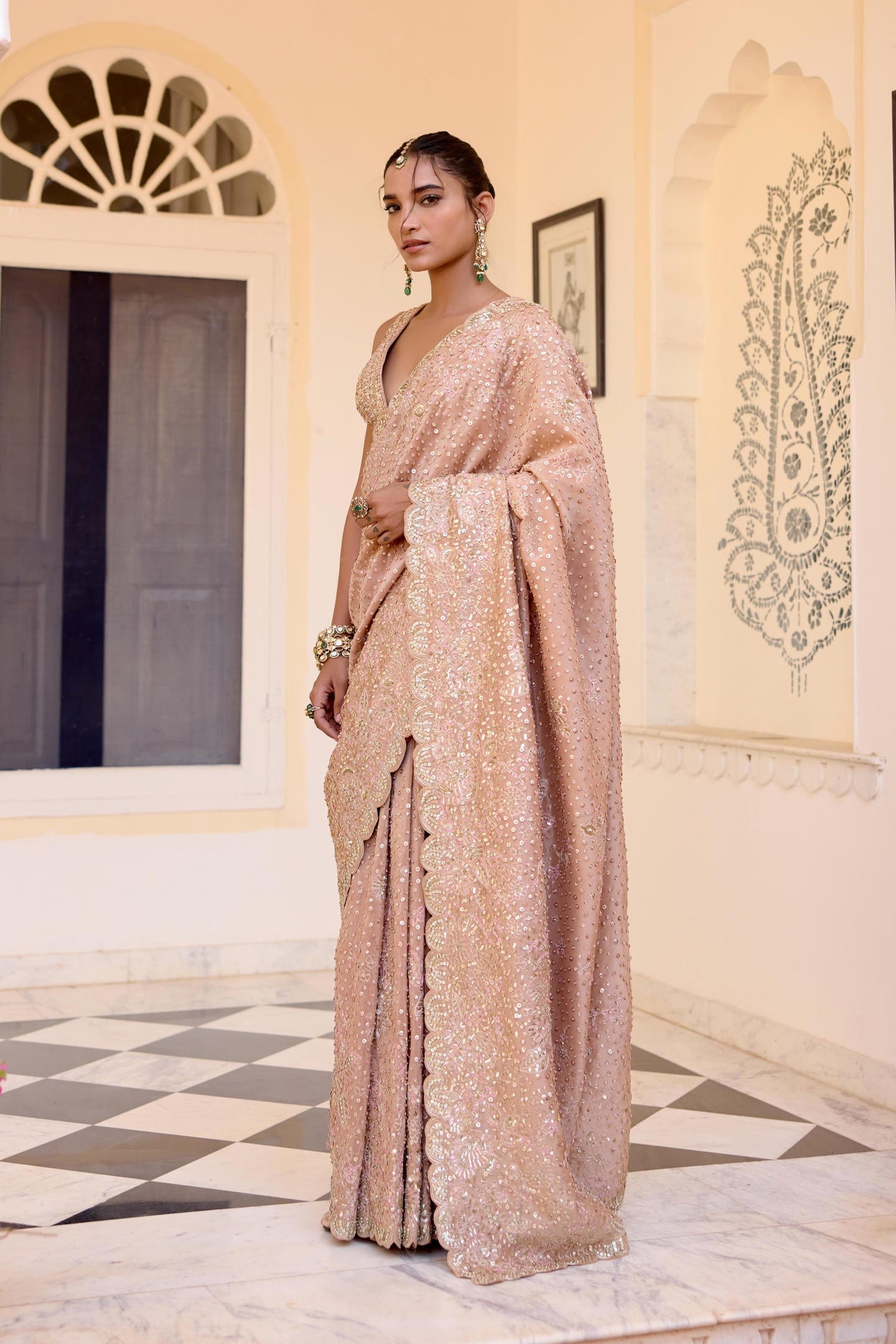Caramel Taupe Tissue Saree Set