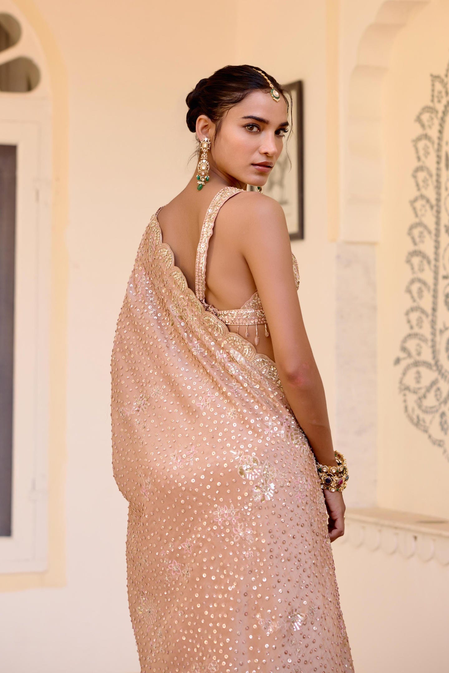 Caramel Taupe Tissue Saree Set