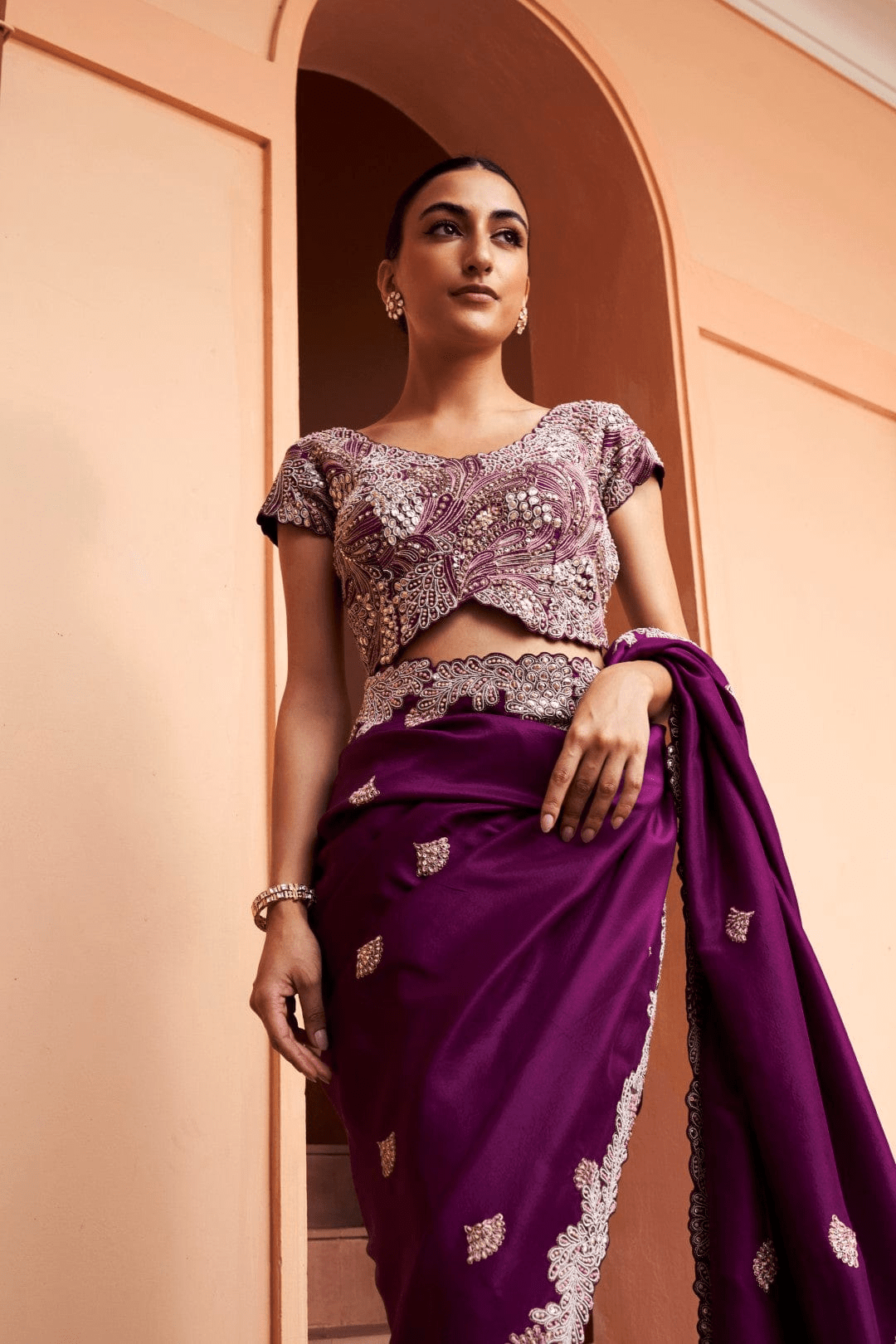 Aubergine Embroidered Saree